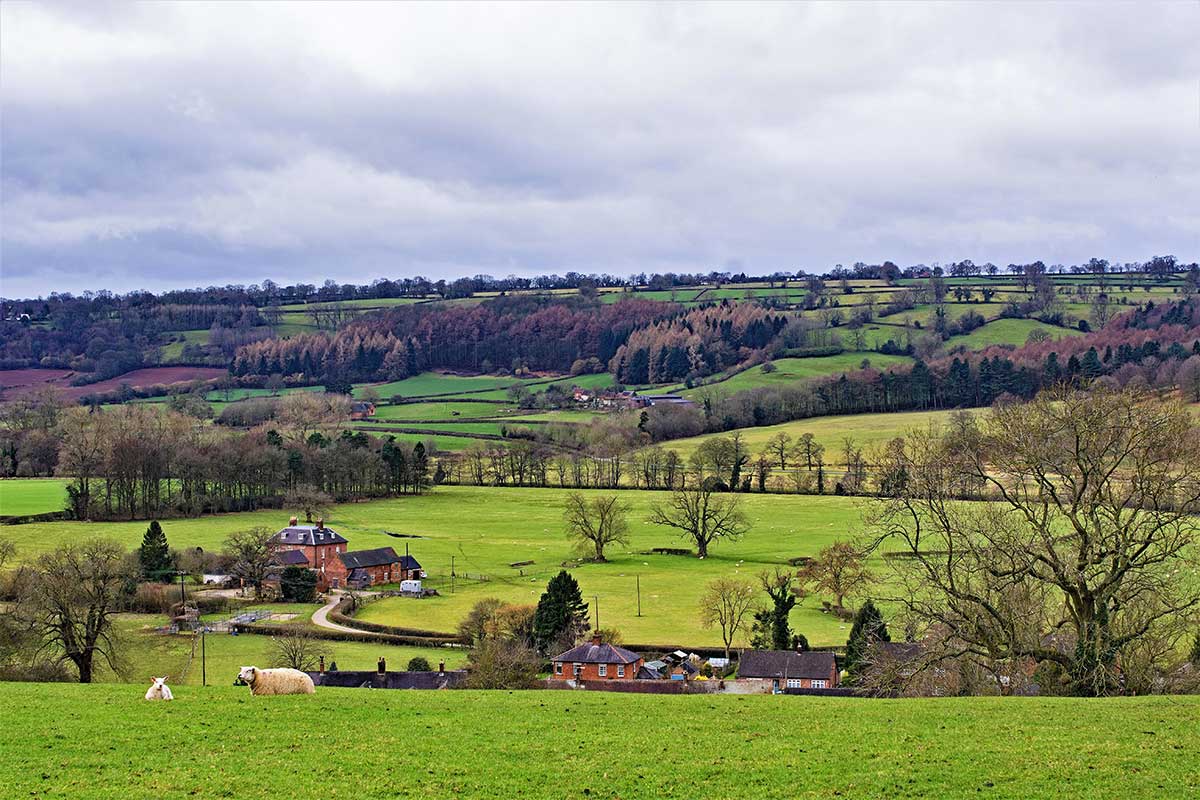 Derbyshire