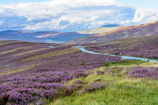 cairngorms-national-park-1.jpg